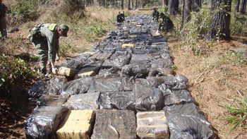 secuestran casi 5,5 toneladas de marihuana en misiones
