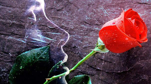 ¿Por qué se conmemora hoy el #DíadelaMujer?