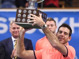 Juan Martín del Potro logró su decimonoveno título en el circuito. Juan Martín del Potro logró su decimonoveno título en el circuito.