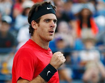 Del Potro confirmó que jugará la Copa Davis este mes