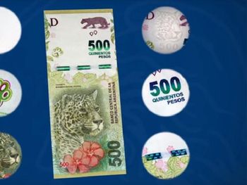 Que no te metan el yaguareté: cómo detectar un billete de $500 falso