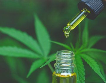 La Universidad de San Luis desarrollará cannabis medicinal