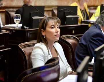 Crudo: una senadora trató a Milei de enfermo mental y pidió una curiosa ley