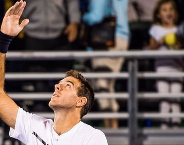 Del Potro derrotó a&nbsp;Dzumhur - Crédito:&nbsp;@delpotrojuan&nbsp;