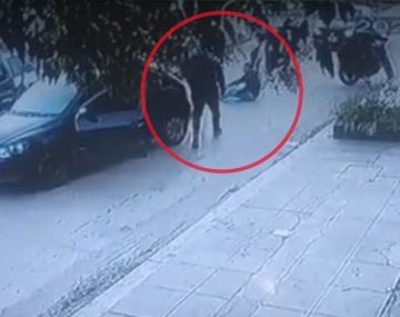 Piden la detención de patovicas que emboscaron a dos jóvenes para golpearlos en Berisso