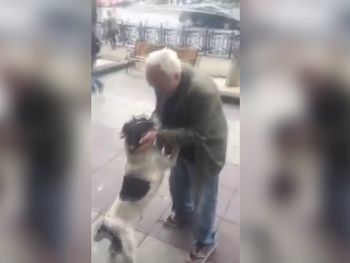 Bereziani extrañaba a Jorge, su perro