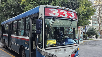 paro de colectivos en reclamo de pago de salarios adeudados: a que lineas afecta la medida de fuerza