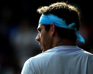 Del Potro