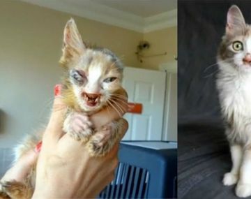 Ahora es la que sonríe