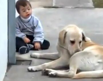 El video de un nene argentino y su perra es furor en Internet