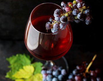 Las 9 bebidas que mejoran la salud y la vida sexual