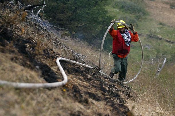 Chile incendio forestal