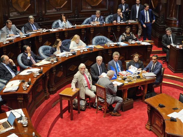 Los ministros Robert Bouvier y Karina Rando fueron interpelados por el Senado