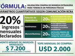 esta es la formula de la afip para autorizar la compra de dolares ahorro esta es la formula de la afip para autorizar la compra de dolares ahorro