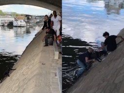 viral: asi fue el dramatico rescate de un perro que cayo al rio sena en paris viral: asi fue el dramatico rescate de un perro que cayo al rio sena en paris