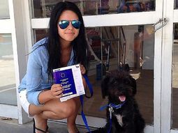 Perra la defendió de un acoso y la adoptó