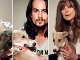 video: conmovedora campana de los famosos contra las carreras de galgos video: conmovedora campana de los famosos contra las carreras de galgos