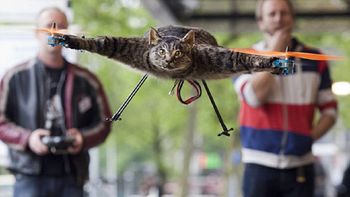 el verdadero gato volador: usa animales muertos para hacer drones el verdadero gato volador: usa animales muertos para hacer drones