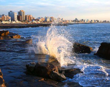 Mar del Plata se convierte en un nuevo destino estratégico para el avistaje de ballenas