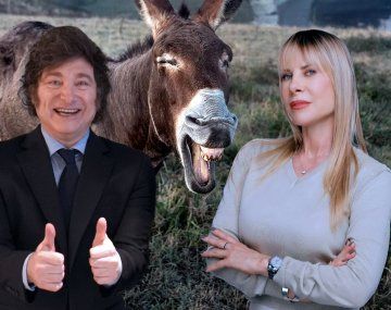 Karen Reichardt quiere ser diputada y no sabe cómo se presenta un proyecto de ley