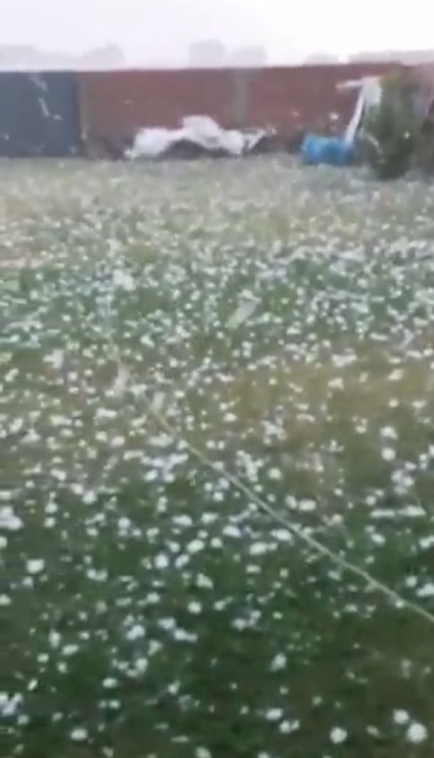 Alerta meteorológico en Ciudad por granizo