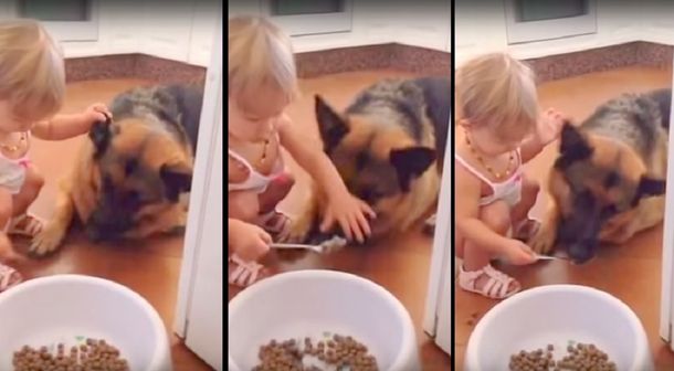 Una nena le da de comer en la boca con cuchara a su perro
