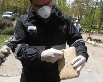 Quemaron 343 kilos de droga secuestrada en pasos fronterizos de Neuquén