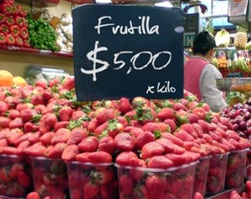 Frutilla