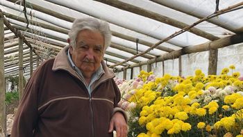 El expresidente José Mujcia analizó la situación política en Venezuela y en Argentina. El expresidente José Mujcia analizó la situación política en Venezuela y en Argentina.