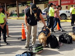 operativo sol: hay veintiun detenidos por allanamientos operativo sol: hay veintiun detenidos por allanamientos