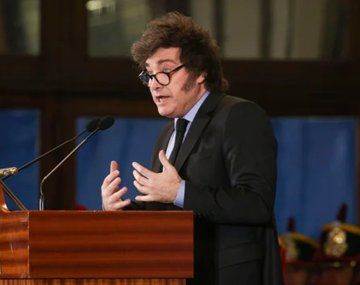 Javier Milei en Rosario (Foto: NA)