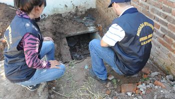 descubrieron un tunel y palomas mensajeras utilizados por una banda narco