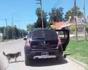 Un perro abandonado persiguió el auto de sus dueños por 15 cuadras