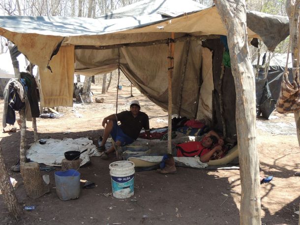 Rescataron a 85 trabajadores en situación de esclavitud