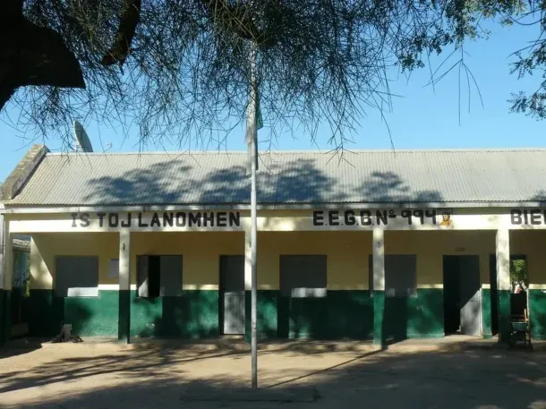 Chaco: una nena de 12 años murió al caer de un árbol en una escuela