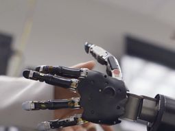 Una prótesis capaz de detectar señales de la médula Una prótesis capaz de detectar señales de la médula