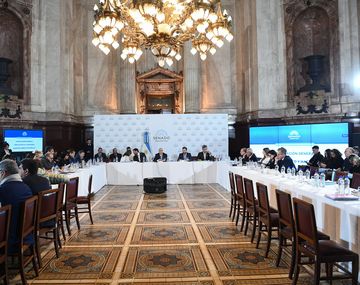 Ley Bases: el Gobierno logra el dictamen en el Senado