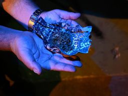 operativo de saturacion en balvanera: la policia de la ciudad incauto marihuana, cocaina y tusi operativo de saturacion en balvanera: la policia de la ciudad incauto marihuana, cocaina y tusi