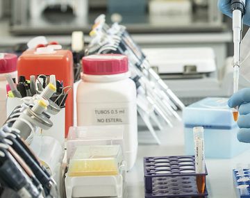 Afirman que dos vacunas contra el coronavirus podrían estar listas antes de fin de año