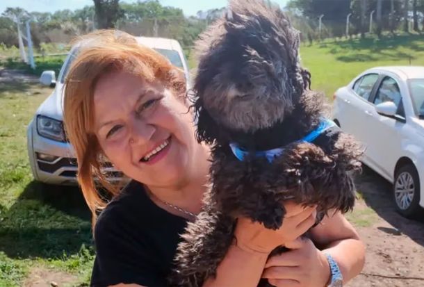 Mar del Plata: rottweiler atacó a un caniche hasta matarlo
