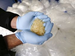 Descubren red narco y allanan comisarías