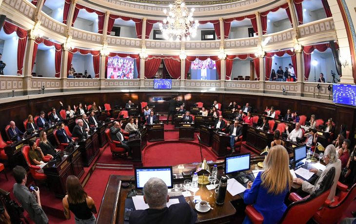 Provincia: el Senado aprobó la suspensión de las PASO