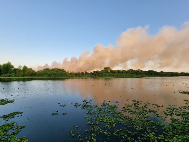 Nuevo incendio en la Reserva Ecológica Costanera Sur