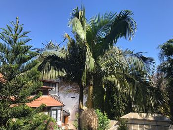 Este es el tiempo que hay que exponernos en la naturaleza para mejorar la salud física y mental