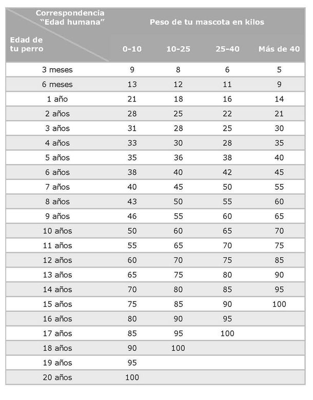 La verdadera tabla de edad canina