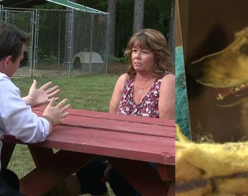 Un perro murió calcinado en una secadora