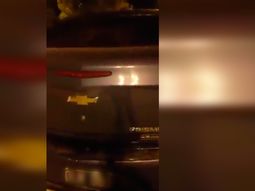 indignante: encerro a su perro en el baul del auto para ir al shopping indignante: encerro a su perro en el baul del auto para ir al shopping