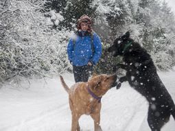 la cordillera, cubierta de blanco la cordillera, cubierta de blanco