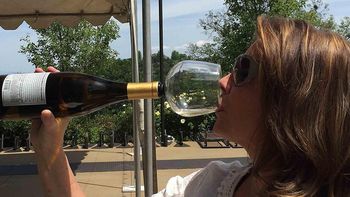 Guzzle Buddy, la copa para tomar de la botella Guzzle Buddy, la copa para tomar de la botella