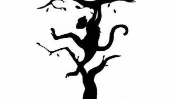 que ves: el test viral que revela si sos una persona analitica que ves: el test viral que revela si sos una persona analitica